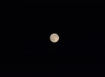 DSC_5238-22197276068