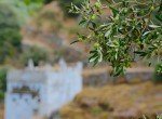 DSC_6980-22379896032