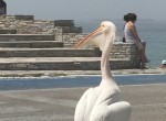 IMG_5974-22197741878