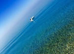 IMG_6239-21763866663
