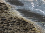 SommerimLeben 2015-22395048641