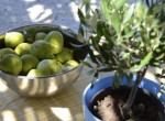 SommerimLeben 2013 49
