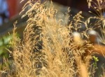 SommerimLeben 2013 39