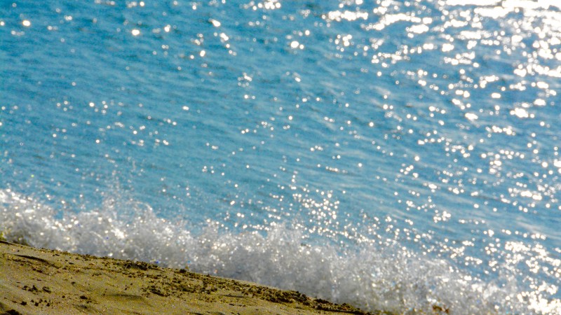 DSC_5401
